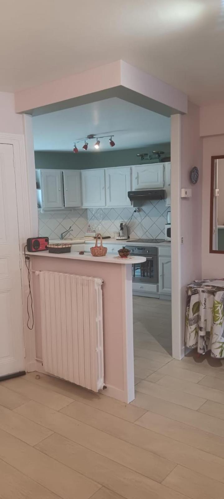 Appartement 120 M² Duplex Coeur Historique Au Calme Le Puy-en-Velay المظهر الخارجي الصورة