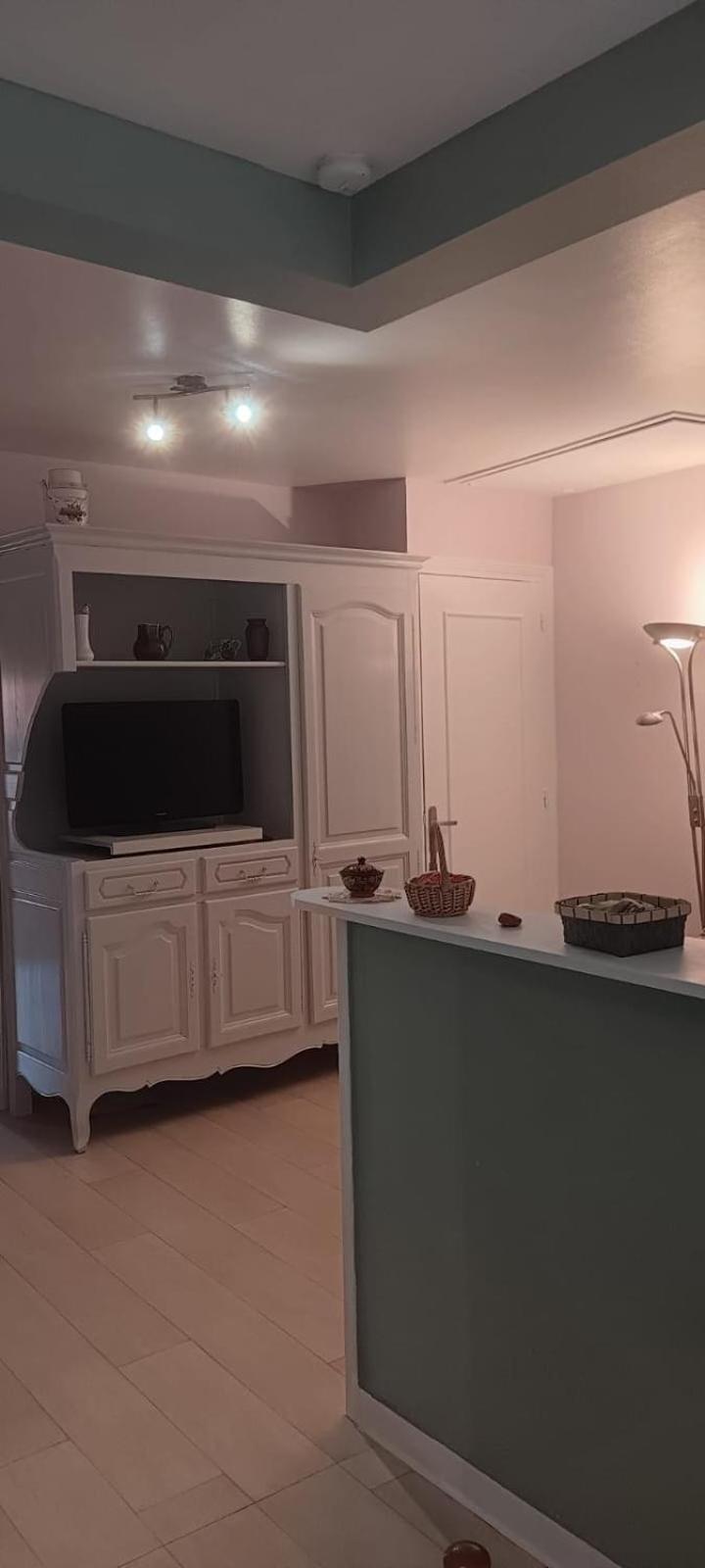 Appartement 120 M² Duplex Coeur Historique Au Calme Le Puy-en-Velay المظهر الخارجي الصورة
